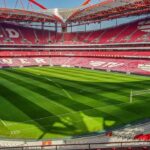Debunking Benfica Myths