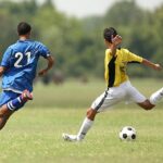 Football Live Scores Insight