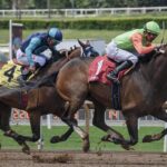 Sports Betting Strategies Explained