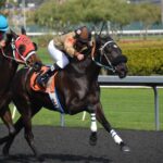 Winning Sports Betting Strategies