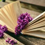 Open Banking Myths Debunked