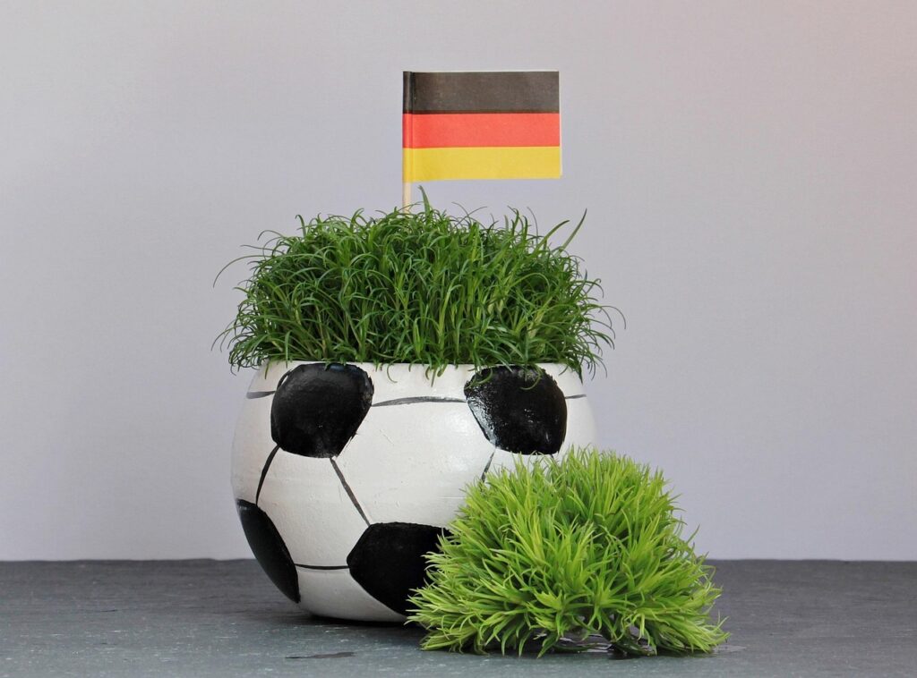 UEFA European Championship Guide