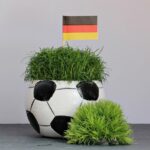 UEFA European Championship Guide