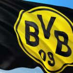 UEFA Champions League Insights