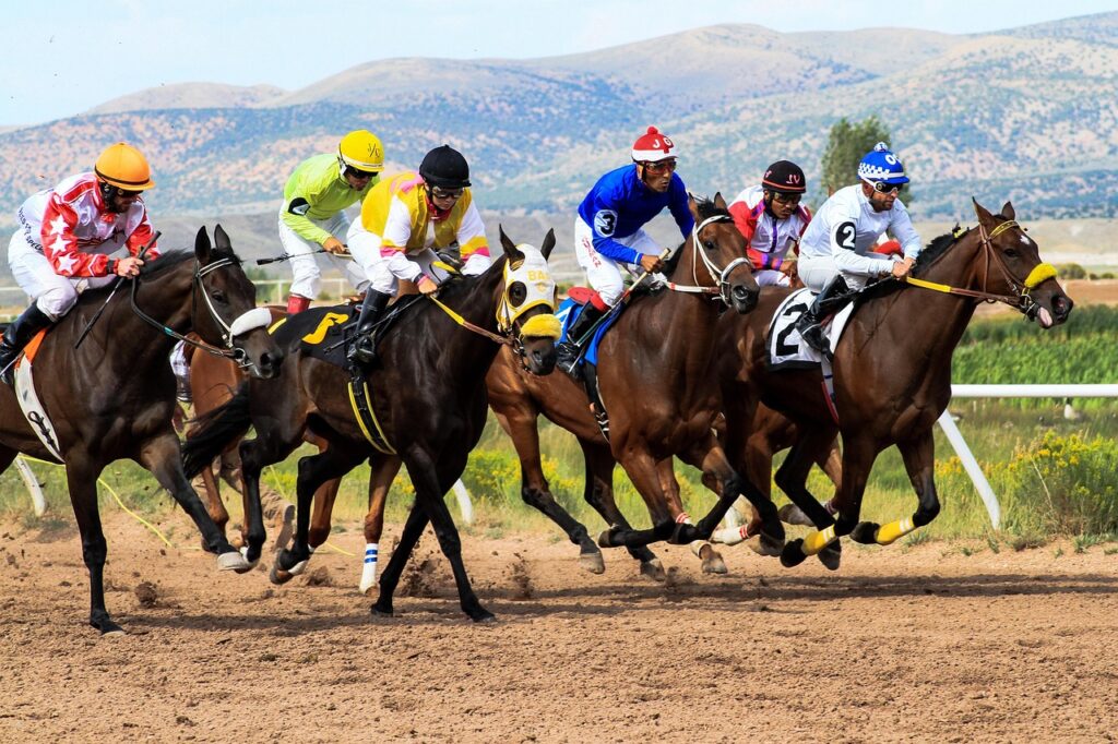 Sportsbook Reviews: A Comprehensive Guide
